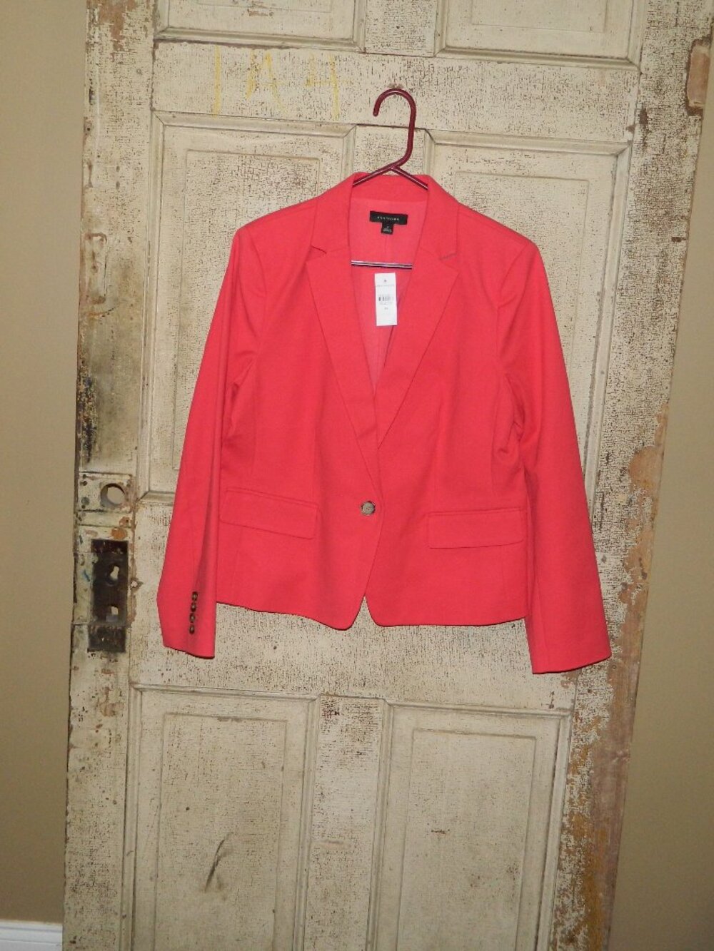 Ann Taylor Career Blazer Jacket Sz 14 (GG-4)